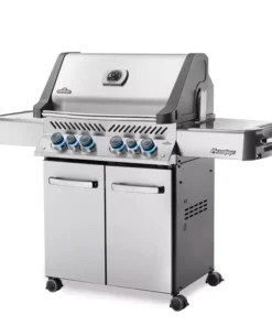 napoleon prestige 500 edelstahl seitlichwebp | Feuer Arena napoleon prestige 500 edelstahl seitlichwebp