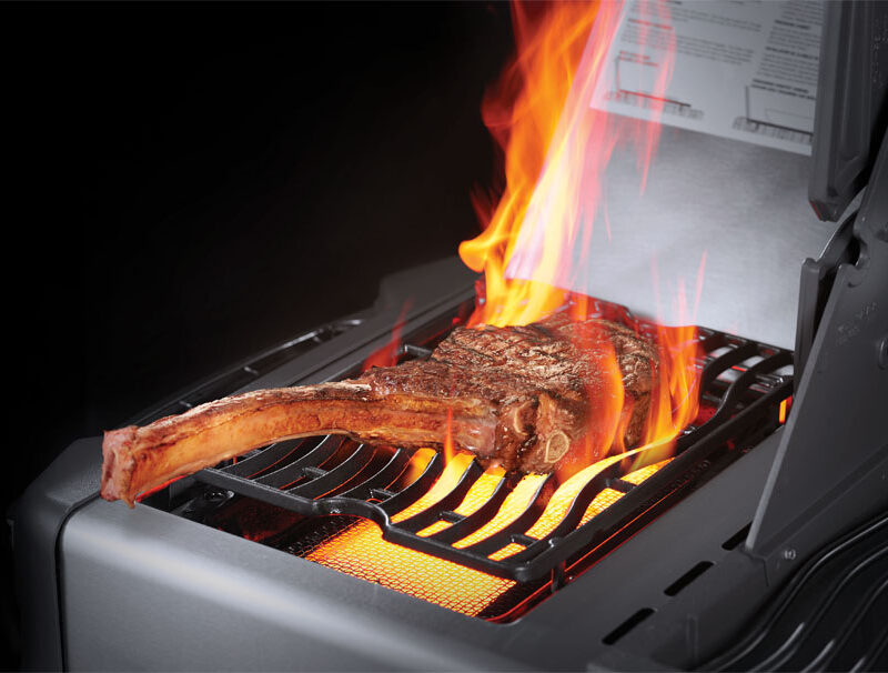 napoleon prestige 500 charcoal grau sizzle zone